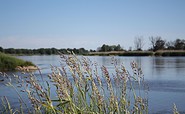 Blick von Lebus über die Oder, Foto: Seenland Oder-Spree / Florian Läufer