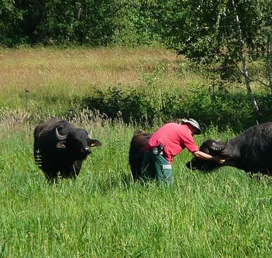 Sonja Moor Agriculture