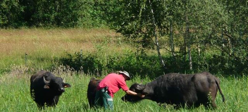 Sonja Moor Agriculture