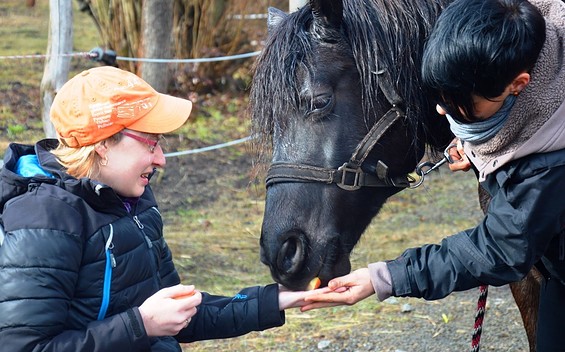 FamilienCampus LAUSITZ-PferdeGut