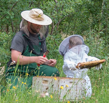 Imker Marcel Reetz, bee keeper