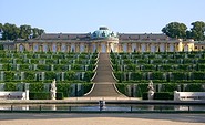 Schloss Sanssouci, Foto: TMB-Fotoarchiv/Wieck