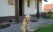Ferienwohnung zur Kastanie mit Hund, Foto: Giard