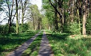 Landschaft bei Nauen