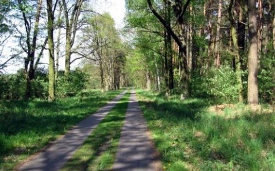 Day Tour 14 to the Historic Town Centres of Nauen, Kremmen & Neuruppin