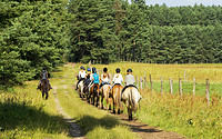 Ausritt im Sommer © Reiter- &amp; Erlebnisbauernhof Groß Briesen GmbH