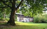 Ferienhaus Alte Linde-Außenansicht