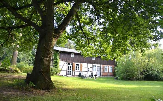 Ferienhaus Alte Linde-Außenansicht