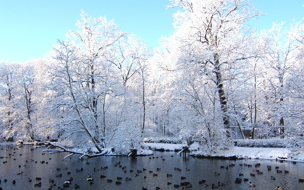Winterzauber, Foto: Tierpark Cottbus