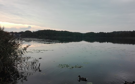 Nesselpfuhl in Lychen, Foto: E.Meier