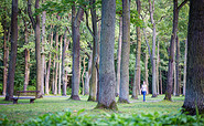 Stadtpark Fürstenwalde, Foto: Florian Läufer