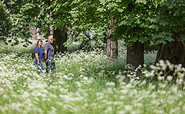 Spaziergang im Kleistpark Frankfurt (Oder), Foto: Florian Läufer