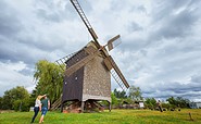 Bockwindmühle in Wilhelmsaue, Foto: Florian Läufer