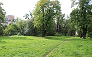 Lienaupark in Frankfurt (Oder), Foto: Tourismusverband Seenland Oder-Spree e. V.