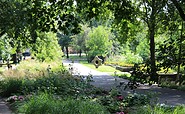 Botanischer Garten in Frankfurt (Oder), Foto: Tourismusverband Seenland Oder-Spree e. V.