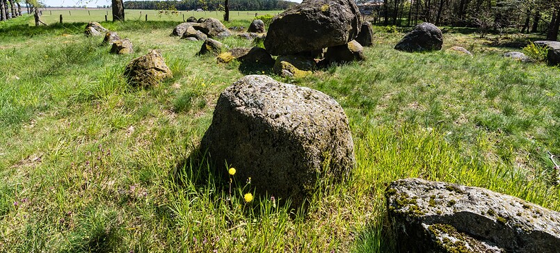 Sanfte Riesen