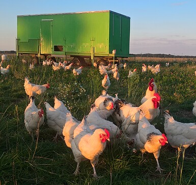 Bauernhof Erz (ecological farming)