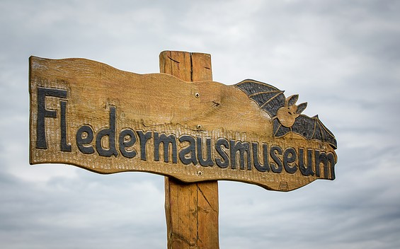 Internationales Fledermausmuseum, bat museum 