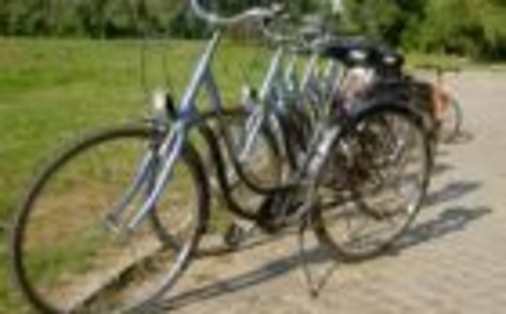 Cityrad-Rebhan / bike rental and breakdown assistance