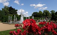 East Germany’s Rose Garden Forst (Lusatia)