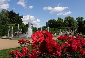 East Germany’s Rose Garden Forst (Lusatia)