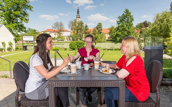 Restaurant Landhaushotel Prinz Albrecht, Foto: Florian Läufer