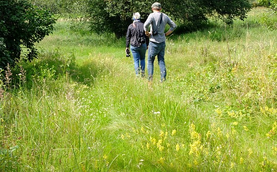 Alte Siedlungsstelle an der Dosse - Radabenteuer, Foto: Michael Ilg
