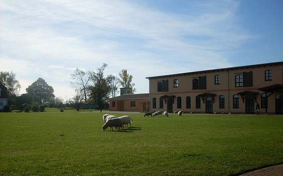 Foto: Fazenda Gut Neuhof