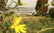 Ferch, Uferpromenade - Blick auf den Schwielowsee, Gemeinde Schwielowsee