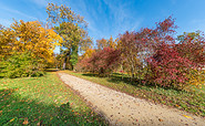Schlosspark im Herbst, Foto: Tamboly
