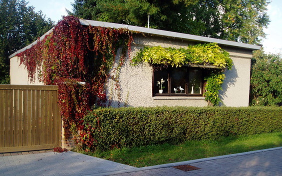 Ferienhaus "Urlaubsoase Radewege"