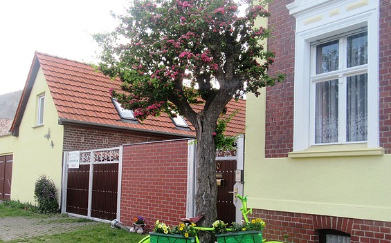 Foto: Ferienwohnung Neu Dessau