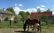 Foto: Undinenhof