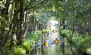 Wasserlabyrinth Spreewald, Foto: TMB-Fotoarchiv/Hahn