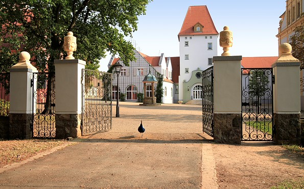 Schlosshof mit Blick auf Nordische Halle, Foto: DKB Stiftung Liebenberg GmbH