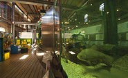 NationalparkHaus_Aquarium, Foto: TMB-Fotoarchiv/Hendrik Silbermann