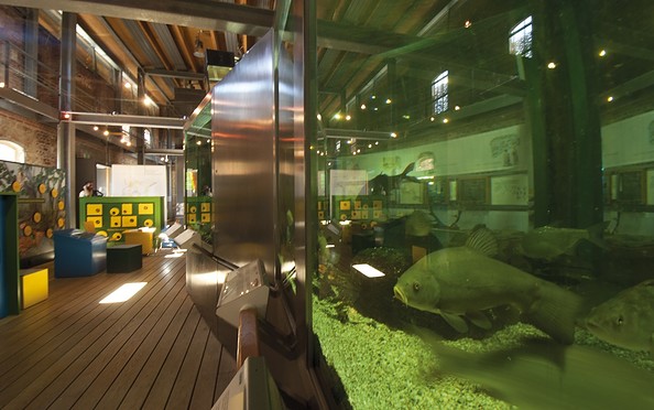 NationalparkHaus_Aquarium, Foto: TMB-Fotoarchiv/Hendrik Silbermann