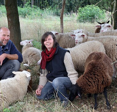 Schafgarbe Dairy Sheep Farm