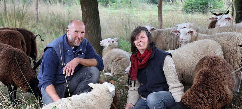 Schafgarbe Dairy Sheep Farm