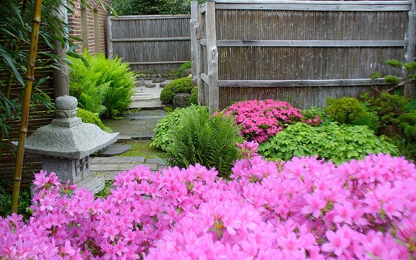 ROJI Japanische Gärten - Neben kleineren Gartenteilen findet sich auch die Bonsaisammlung. Im Juni blühen hier die Azaleen, Foto: Gesine Jochems