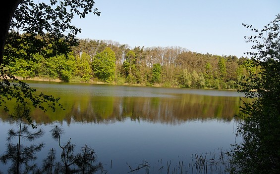Großer Gamensee