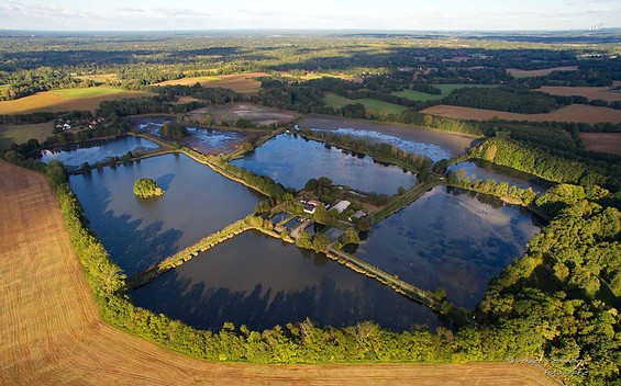 Stradower Pond Landscape