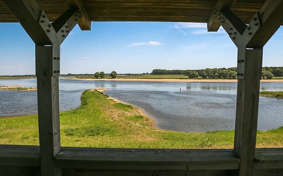 Nature Stop: View Across the Wetlands in Lenzen