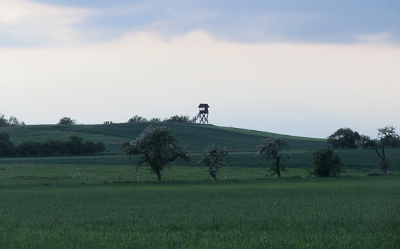 Nature Stop: Mühlenberg Hill in Groß Leppin