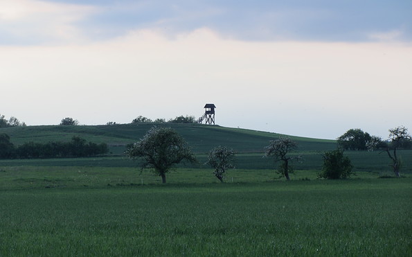 Mühlenberg bei Plattenburg, Foto: LfU Biwer