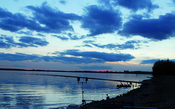 Angeln am Senftenberger See, Foto: Steffen Rasche