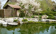 ROJI Japanische Gärten - Die Teichanlage beherbergt viele, handzahme Koi-Karpfen, Foto: Gesine Jochems