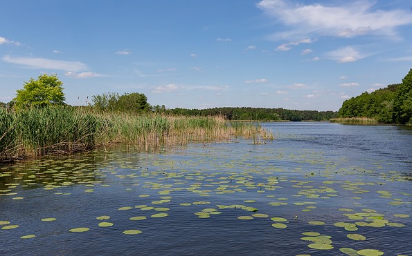 Flusslandschaft Spree, Foto: Seenland Oder-Spree/Florian Läufer