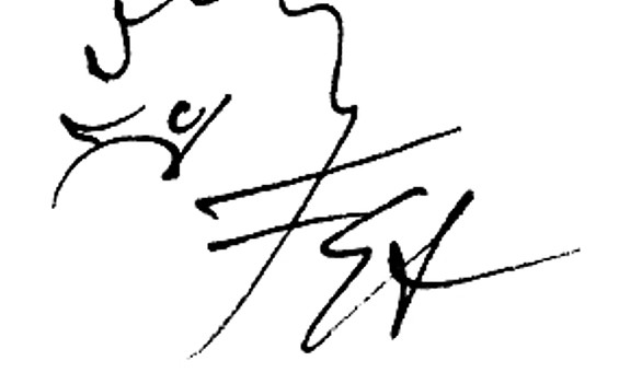 Igel, Friedrich Stachat