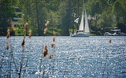 Segelboot auf dem Scharmützelsee, Foto: Seenland Oder-Spree/Angelika Laslo